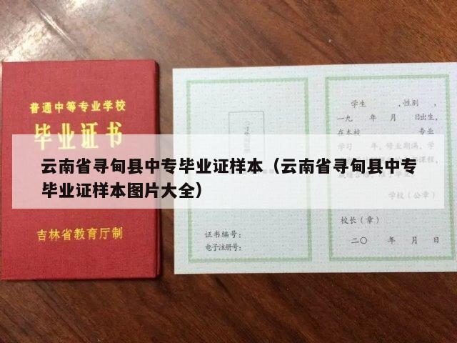 云南省寻甸县中专毕业证样本（云南省寻甸县中专毕业证样本图片大全）