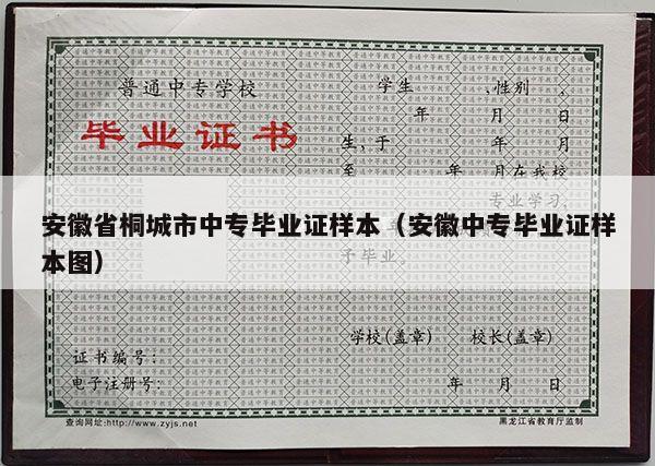 安徽省桐城市中专毕业证样本（安徽中专毕业证样本图）