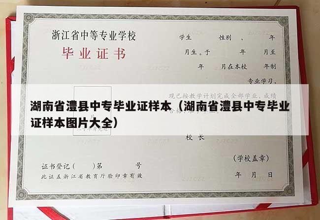湖南省澧县中专毕业证样本（湖南省澧县中专毕业证样本图片大全）