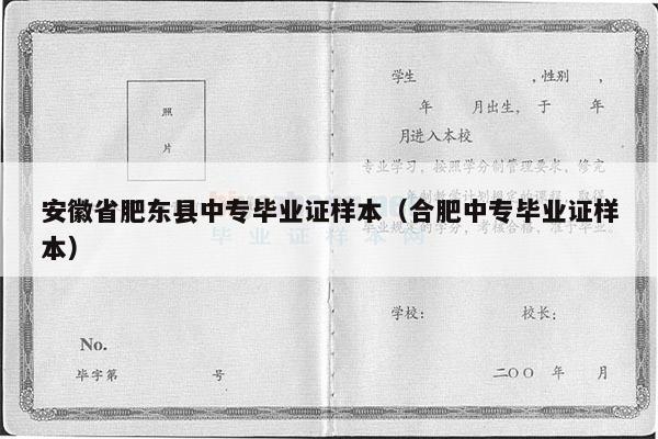 安徽省肥东县中专毕业证样本（合肥中专毕业证样本）