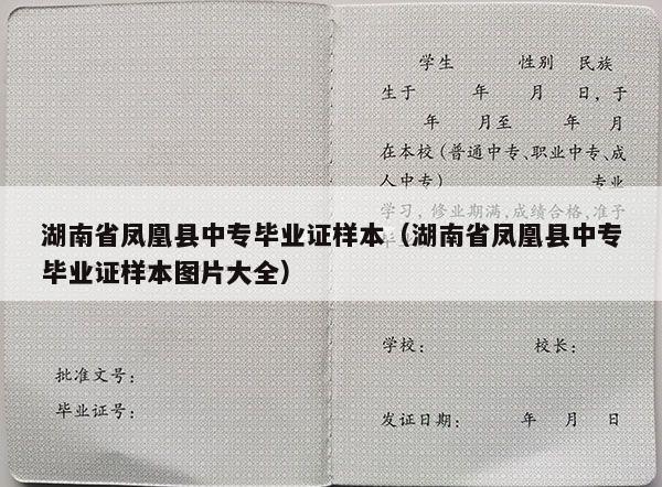 湖南省凤凰县中专毕业证样本（湖南省凤凰县中专毕业证样本图片大全）