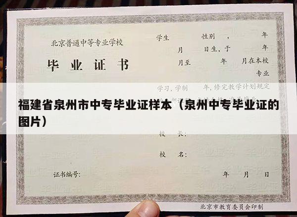 福建省泉州市中专毕业证样本（泉州中专毕业证的图片）
