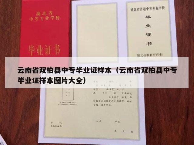 云南省双柏县中专毕业证样本（云南省双柏县中专毕业证样本图片大全）