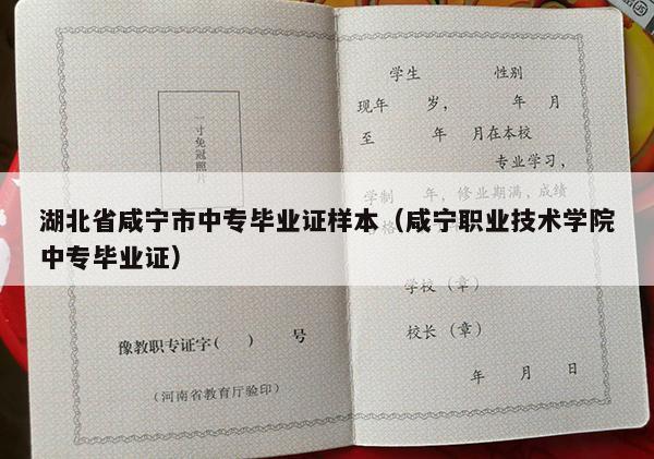湖北省咸宁市中专毕业证样本（咸宁职业技术学院中专毕业证）