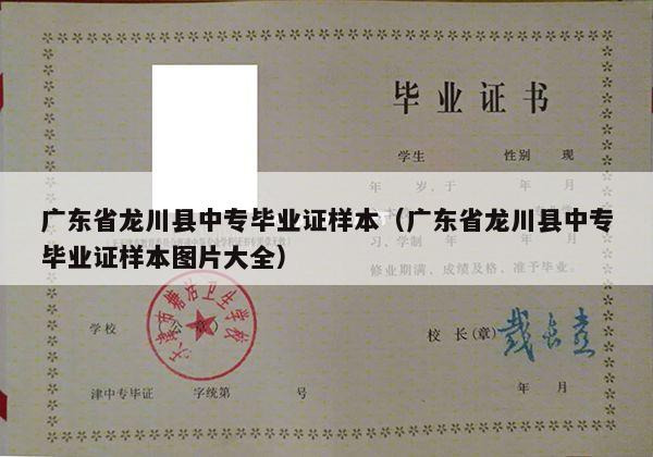 广东省龙川县中专毕业证样本（广东省龙川县中专毕业证样本图片大全）