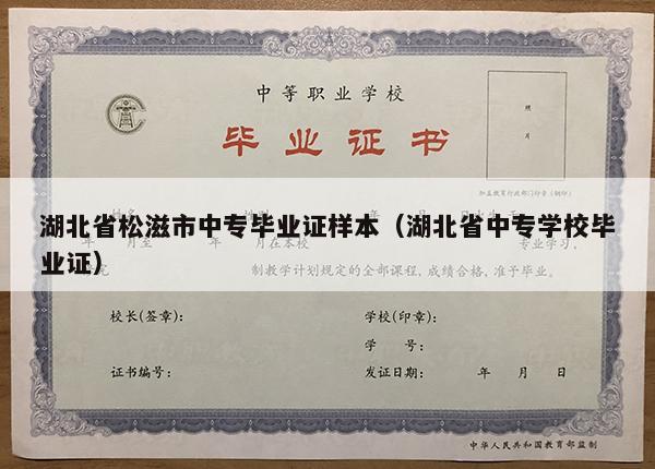 湖北省松滋市中专毕业证样本（湖北省中专学校毕业证）