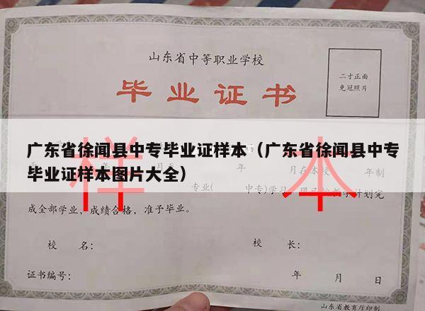 广东省徐闻县中专毕业证样本（广东省徐闻县中专毕业证样本图片大全）