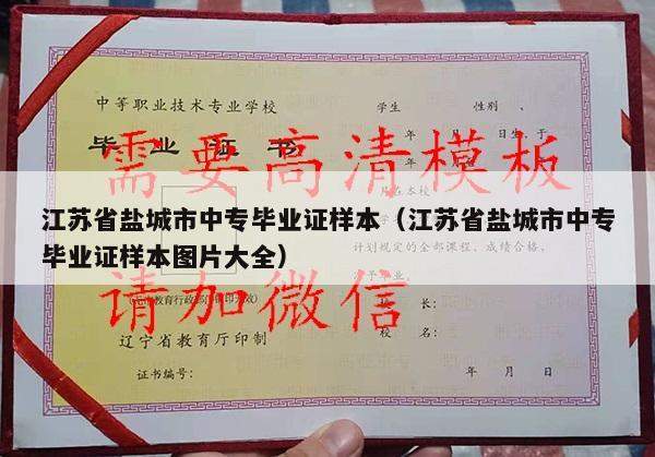 江苏省盐城市中专毕业证样本（江苏省盐城市中专毕业证样本图片大全）