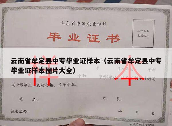 云南省牟定县中专毕业证样本（云南省牟定县中专毕业证样本图片大全）