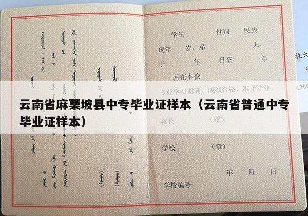 云南省麻栗坡县中专毕业证样本（云南省普通中专毕业证样本）