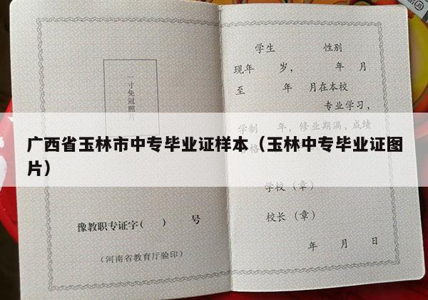 广西省玉林市中专毕业证样本（玉林中专毕业证图片）