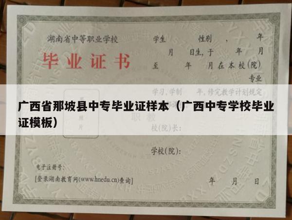 广西省那坡县中专毕业证样本（广西中专学校毕业证模板）