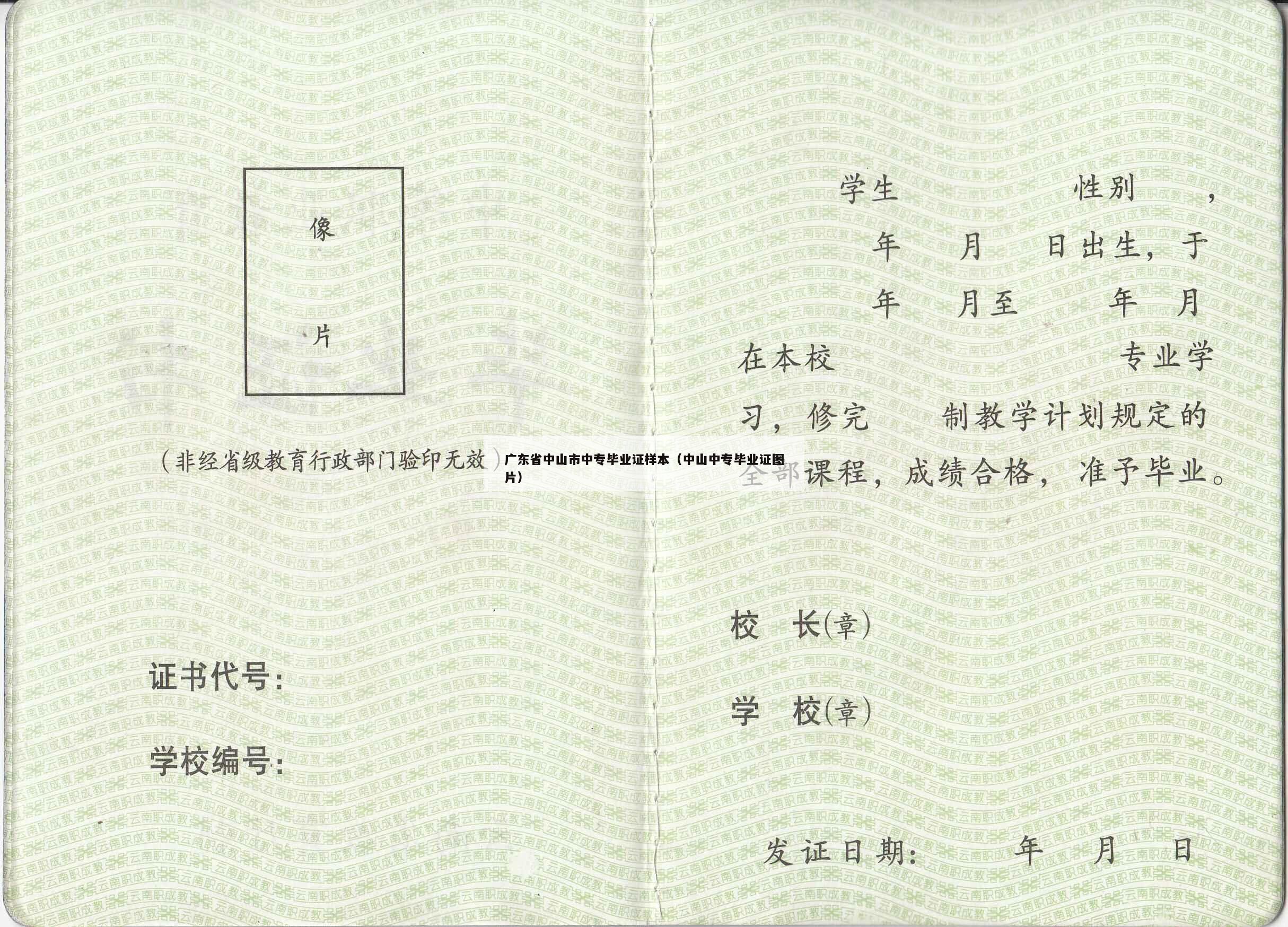 广东省中山市中专毕业证样本（中山中专毕业证图片）