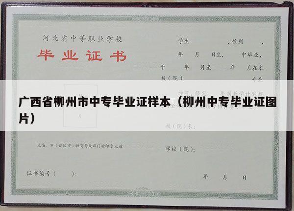 广西省柳州市中专毕业证样本（柳州中专毕业证图片）
