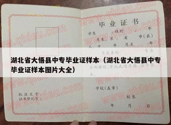 湖北省大悟县中专毕业证样本（湖北省大悟县中专毕业证样本图片大全）
