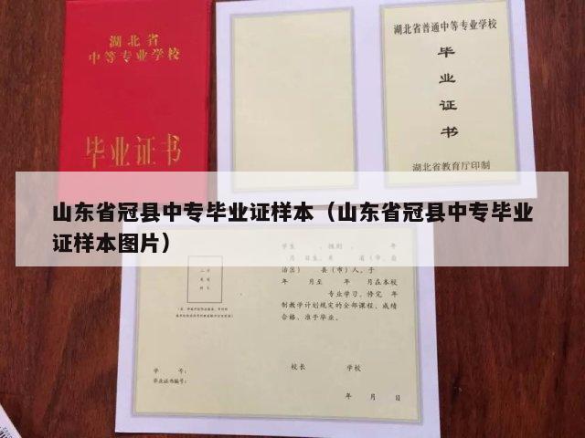 山东省冠县中专毕业证样本（山东省冠县中专毕业证样本图片）