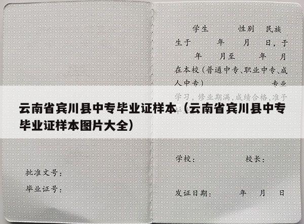 云南省宾川县中专毕业证样本（云南省宾川县中专毕业证样本图片大全）