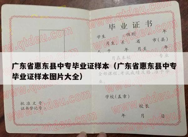 广东省惠东县中专毕业证样本（广东省惠东县中专毕业证样本图片大全）