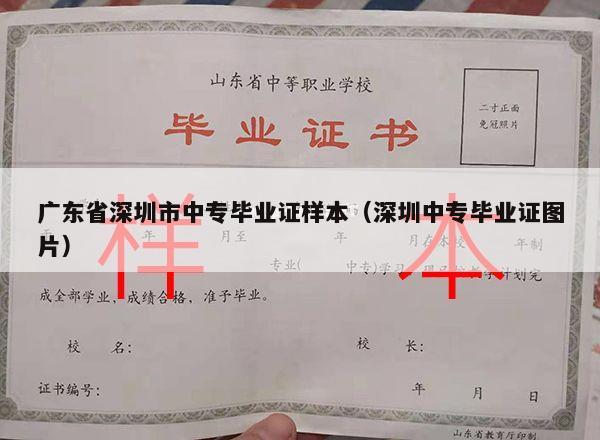 广东省深圳市中专毕业证样本（深圳中专毕业证图片）
