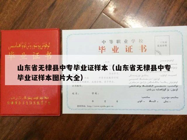 山东省无棣县中专毕业证样本（山东省无棣县中专毕业证样本图片大全）