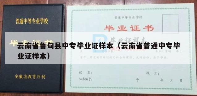 云南省鲁甸县中专毕业证样本（云南省普通中专毕业证样本）