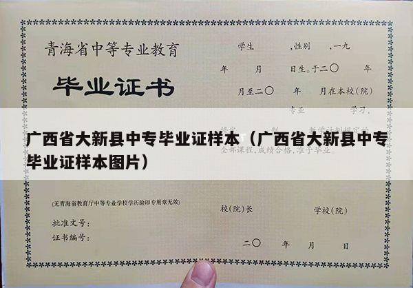 广西省大新县中专毕业证样本（广西省大新县中专毕业证样本图片）