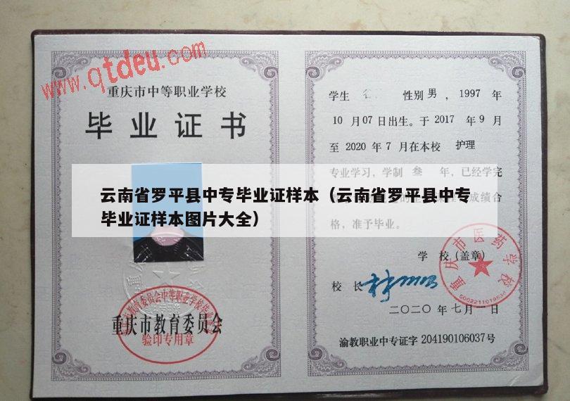 云南省罗平县中专毕业证样本（云南省罗平县中专毕业证样本图片大全）