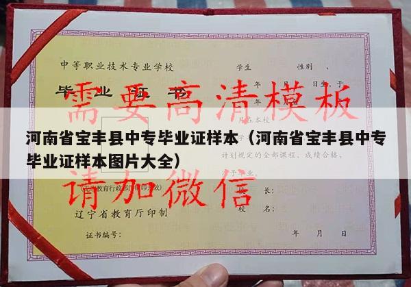 河南省宝丰县中专毕业证样本（河南省宝丰县中专毕业证样本图片大全）