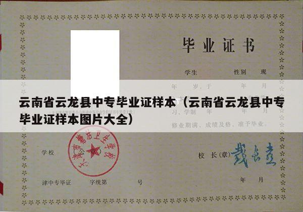 云南省云龙县中专毕业证样本（云南省云龙县中专毕业证样本图片大全）