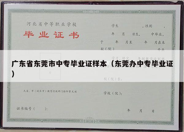 广东省东莞市中专毕业证样本（东莞办中专毕业证）