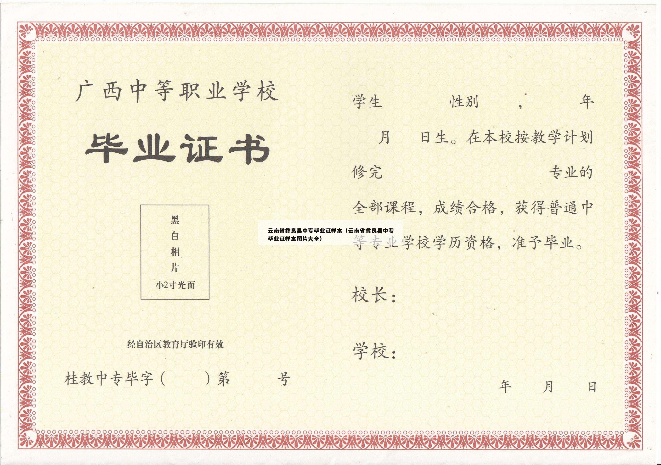 云南省彝良县中专毕业证样本（云南省彝良县中专毕业证样本图片大全）