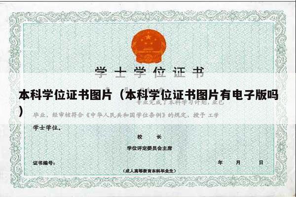本科学位证书图片（本科学位证书图片有电子版吗）