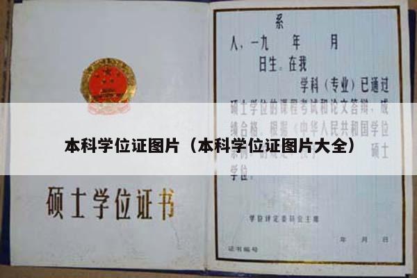本科学位证图片（本科学位证图片大全）