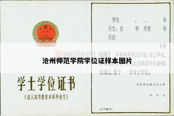 沧州师范学院学位证样本图片