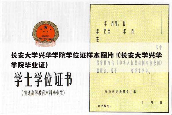 长安大学兴华学院学位证样本图片（长安大学兴华学院毕业证）
