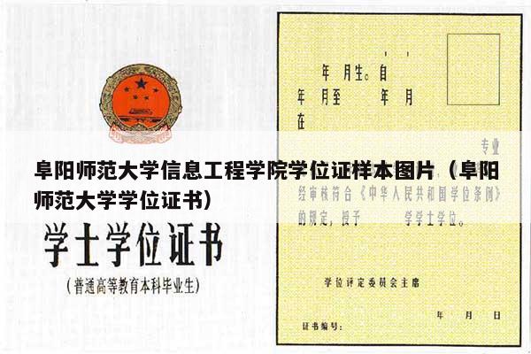 阜阳师范大学信息工程学院学位证样本图片（阜阳师范大学学位证书）