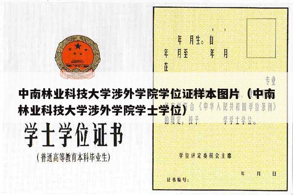 中南林业科技大学涉外学院学位证样本图片（中南林业科技大学涉外学院学士学位）