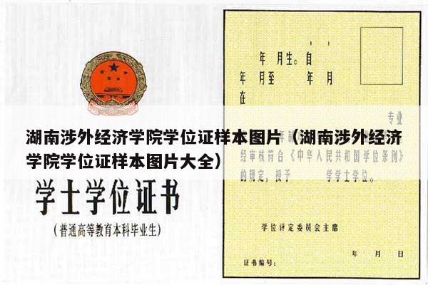 湖南涉外经济学院学位证样本图片（湖南涉外经济学院学位证样本图片大全）