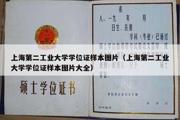 上海第二工业大学学位证样本图片（上海第二工业大学学位证样本图片大全）