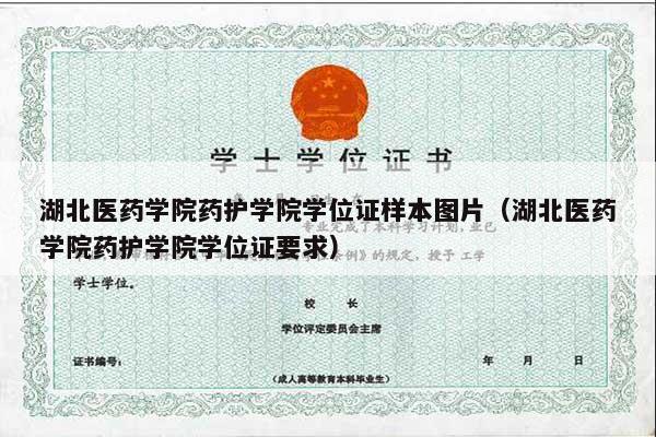 湖北医药学院药护学院学位证样本图片（湖北医药学院药护学院学位证要求）