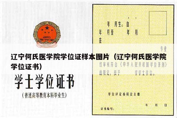 辽宁何氏医学院学位证样本图片（辽宁何氏医学院学位证书）