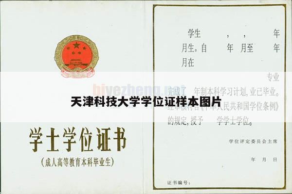 天津科技大学学位证样本图片