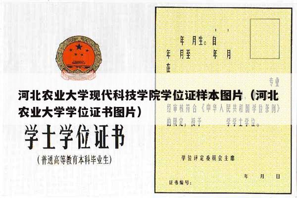 河北农业大学现代科技学院学位证样本图片（河北农业大学学位证书图片）