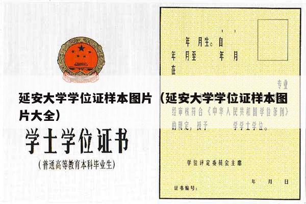 延安大学学位证样本图片（延安大学学位证样本图片大全）
