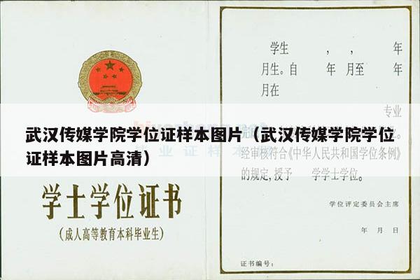 武汉传媒学院学位证样本图片（武汉传媒学院学位证样本图片高清）