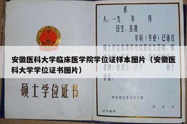 安徽医科大学临床医学院学位证样本图片（安徽医科大学学位证书图片）