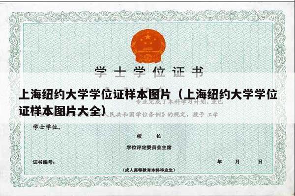 上海纽约大学学位证样本图片（上海纽约大学学位证样本图片大全）