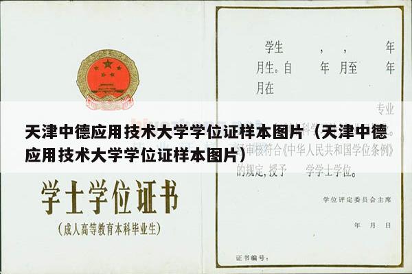 天津中德应用技术大学学位证样本图片（天津中德应用技术大学学位证样本图片）