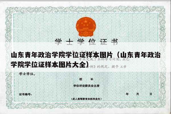 山东青年政治学院学位证样本图片（山东青年政治学院学位证样本图片大全）