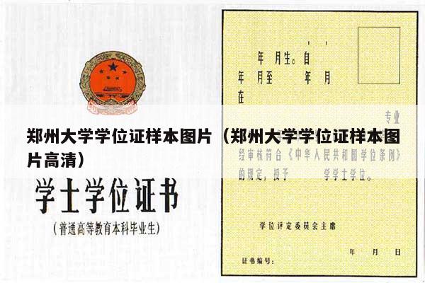 郑州大学学位证样本图片（郑州大学学位证样本图片高清）